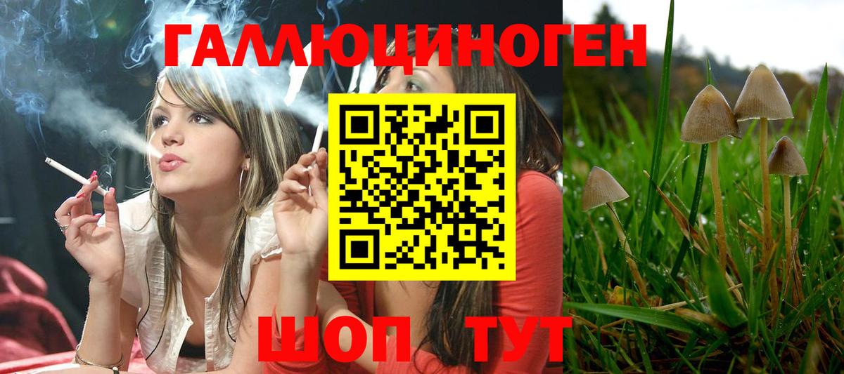 Добрянка  Галлюциногенные грибы прущие грибы  Вход с VPN 