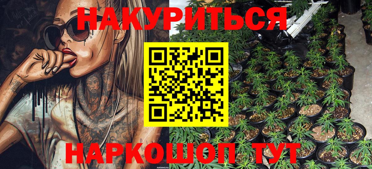 Бошки Шишки сатива Добрянка